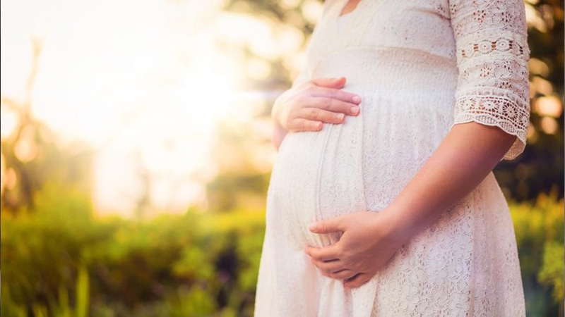 Panduan Nutrisi untuk Menjaga Kesehatan Ibu Hamil: Tips dari PAFI Banggai